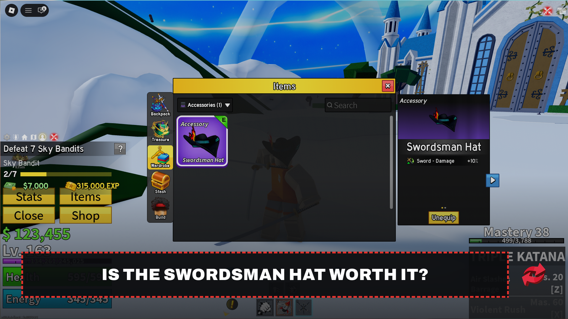 Swordsman Hat accessory with its +10% sword damage bonus shown